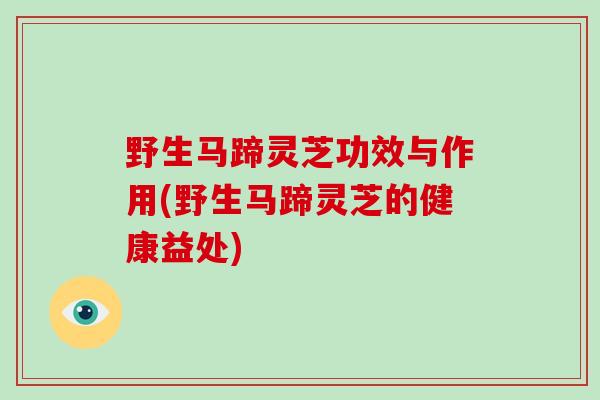 野生马蹄灵芝功效与作用(野生马蹄灵芝的健康益处)-第1张图片-破壁灵芝孢子粉研究指南 野生马蹄灵芝功效与作用(野生马蹄灵芝的健康益处)-第1张图片-破壁灵芝孢子粉研究指南