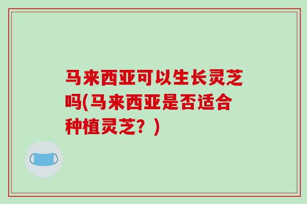 马来西亚可以生长灵芝吗(马来西亚是否适合种植灵芝?)-第1张图片-破壁灵芝孢子粉研究指南 马来西亚可以生长灵芝吗(马来西亚是否适合种植灵芝?)-第1张图片-破壁灵芝孢子粉研究指南
