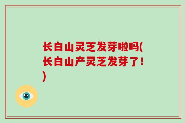 长白山灵芝发芽啦吗(长白山产灵芝发芽了!)-第1张图片-破壁灵芝孢子粉研究指南 长白山灵芝发芽啦吗(长白山产灵芝发芽了!)-第1张图片-破壁灵芝孢子粉研究指南