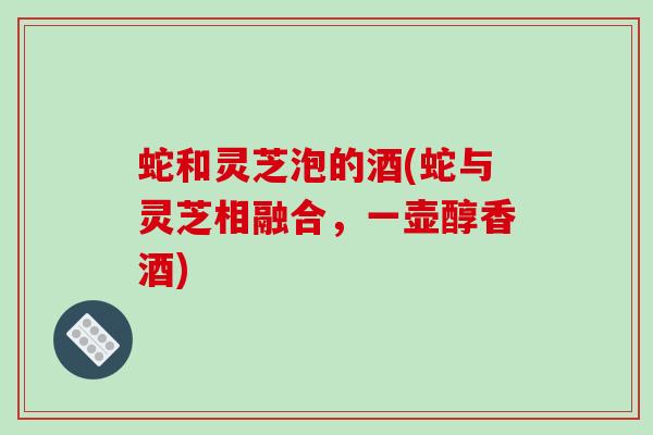 蛇和灵芝泡的酒(蛇与灵芝相融合,一壶醇香酒)-第1张图片-破壁灵芝孢子粉研究指南 蛇和灵芝泡的酒(蛇与灵芝相融合,一壶醇香酒)-第1张图片-破壁灵芝孢子粉研究指南