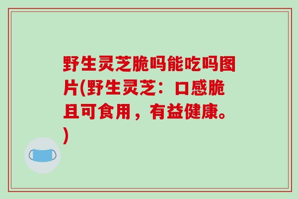 野生灵芝脆吗能吃吗图片(野生灵芝:口感脆且可食用,有益健康。)-第1张图片-破壁灵芝孢子粉研究指南 野生灵芝脆吗能吃吗图片(野生灵芝:口感脆且可食用,有益健康。)-第1张图片-破壁灵芝孢子粉研究指南