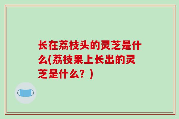 长在荔枝头的灵芝是什么(荔枝果上长出的灵芝是什么?)-第1张图片-破壁灵芝孢子粉研究指南 长在荔枝头的灵芝是什么(荔枝果上长出的灵芝是什么?)-第1张图片-破壁灵芝孢子粉研究指南