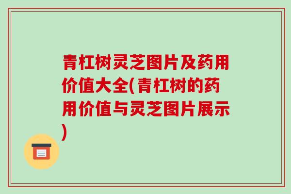 青杠树灵芝图片及药用价值大全(青杠树的药用价值与灵芝图片展示)-第1张图片-破壁灵芝孢子粉研究指南