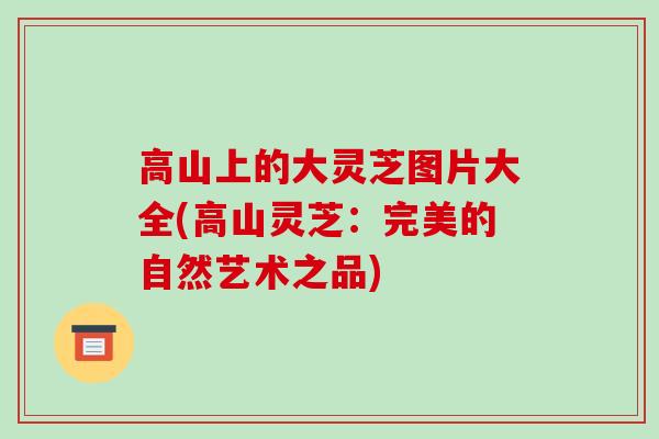 高山上的大灵芝图片大全(高山灵芝：完美的自然艺术之品)-第1张图片-破壁灵芝孢子粉研究指南