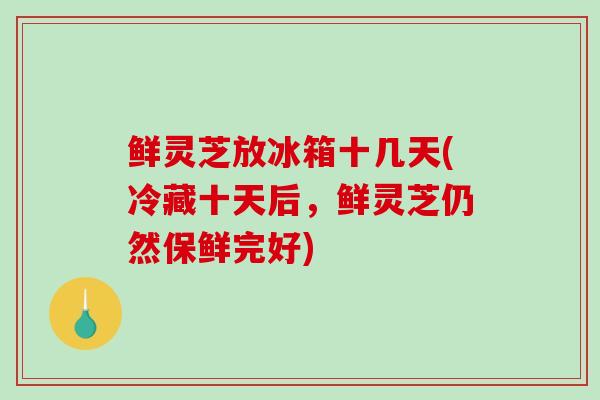 鲜灵芝放冰箱十几天(冷藏十天后，鲜灵芝仍然保鲜完好)-第1张图片-破壁灵芝孢子粉研究指南