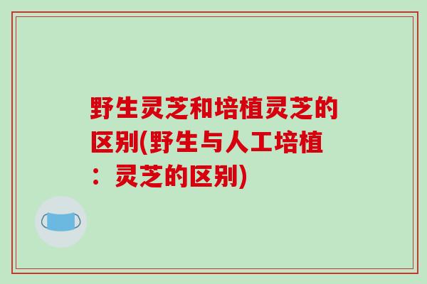 野生灵芝和培植灵芝的区别(野生与人工培植:灵芝的区别)-第1张图片-破壁灵芝孢子粉研究指南 野生灵芝和培植灵芝的区别(野生与人工培植:灵芝的区别)-第1张图片-破壁灵芝孢子粉研究指南