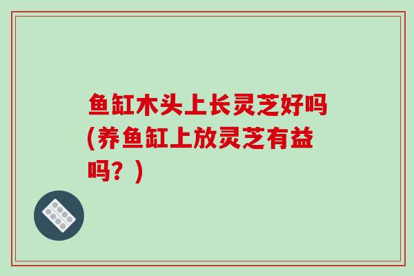 鱼缸木头上长灵芝好吗(养鱼缸上放灵芝有益吗?)-第1张图片-破壁灵芝孢子粉研究指南 鱼缸木头上长灵芝好吗(养鱼缸上放灵芝有益吗?)-第1张图片-破壁灵芝孢子粉研究指南