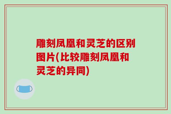 雕刻凤凰和灵芝的区别图片(比较雕刻凤凰和灵芝的异同)-第1张图片-破壁灵芝孢子粉研究指南 雕刻凤凰和灵芝的区别图片(比较雕刻凤凰和灵芝的异同)-第1张图片-破壁灵芝孢子粉研究指南