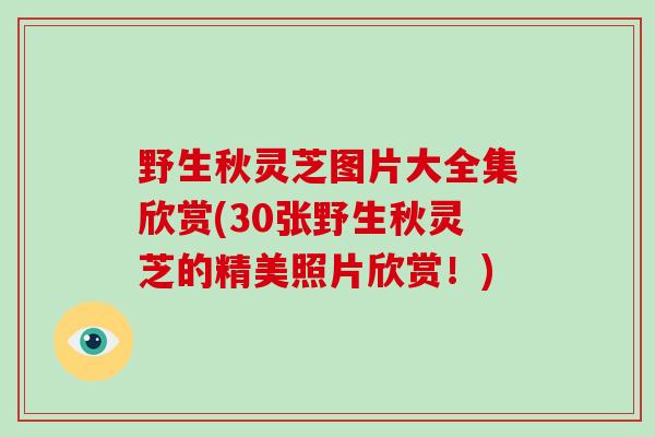 野生秋灵芝图片大全集欣赏(30张野生秋灵芝的精美照片欣赏!)-第1张图片-破壁灵芝孢子粉研究指南 野生秋灵芝图片大全集欣赏(30张野生秋灵芝的精美照片欣赏!)-第1张图片-破壁灵芝孢子粉研究指南