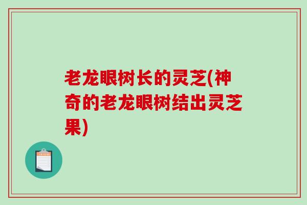 老龙眼树长的灵芝(神奇的老龙眼树结出灵芝果)-第1张图片-破壁灵芝孢子粉研究指南 老龙眼树长的灵芝(神奇的老龙眼树结出灵芝果)-第1张图片-破壁灵芝孢子粉研究指南