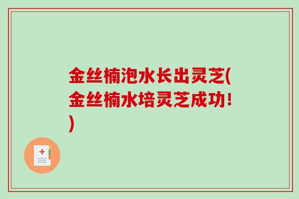 金丝楠泡水长出灵芝(金丝楠水培灵芝成功!)-第1张图片-破壁灵芝孢子粉研究指南 金丝楠泡水长出灵芝(金丝楠水培灵芝成功!)-第1张图片-破壁灵芝孢子粉研究指南