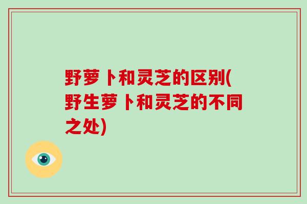 野萝卜和灵芝的区别(野生萝卜和灵芝的不同之处)-第1张图片-破壁灵芝孢子粉研究指南 野萝卜和灵芝的区别(野生萝卜和灵芝的不同之处)-第1张图片-破壁灵芝孢子粉研究指南