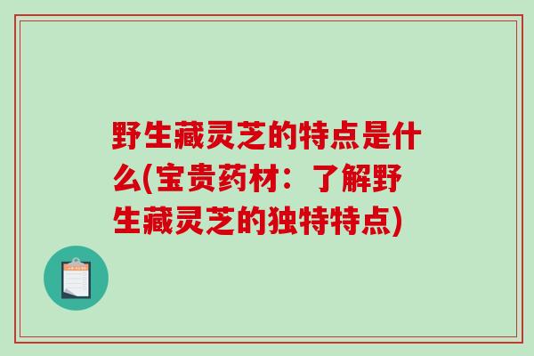 野生藏灵芝的特点是什么(宝贵药材:了解野生藏灵芝的独特特点)-第1张图片-破壁灵芝孢子粉研究指南 野生藏灵芝的特点是什么(宝贵药材:了解野生藏灵芝的独特特点)-第1张图片-破壁灵芝孢子粉研究指南