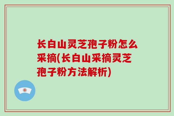 长白山灵芝孢子粉怎么采摘(长白山采摘灵芝孢子粉方法解析)-第1张图片-破壁灵芝孢子粉研究指南 长白山灵芝孢子粉怎么采摘(长白山采摘灵芝孢子粉方法解析)-第1张图片-破壁灵芝孢子粉研究指南