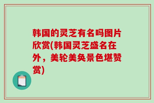 韩国的灵芝有名吗图片欣赏(韩国灵芝盛名在外,美轮美奂景色堪赞赏)-第1张图片-破壁灵芝孢子粉研究指南 韩国的灵芝有名吗图片欣赏(韩国灵芝盛名在外,美轮美奂景色堪赞赏)-第1张图片-破壁灵芝孢子粉研究指南