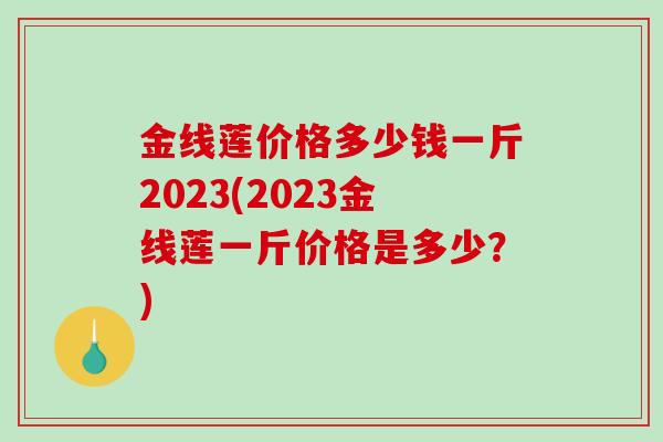 金线莲价格多少钱一斤2023(2023金线莲一斤价格是多少?)-第1张图片-破壁灵芝孢子粉研究指南 金线莲价格多少钱一斤2023(2023金线莲一斤价格是多少?)-第1张图片-破壁灵芝孢子粉研究指南