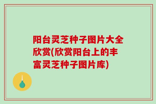 阳台灵芝种子图片大全欣赏(欣赏阳台上的丰富灵芝种子图片库)-第1张图片-破壁灵芝孢子粉研究指南