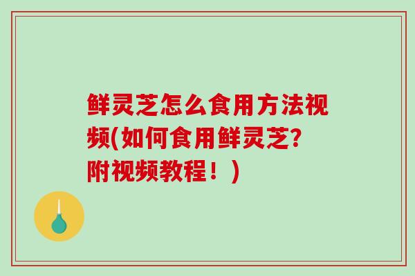 鲜灵芝怎么食用方法视频(如何食用鲜灵芝？附视频教程！)-第1张图片-破壁灵芝孢子粉研究指南
