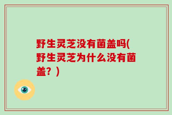 野生灵芝没有菌盖吗(野生灵芝为什么没有菌盖?)-第1张图片-破壁灵芝孢子粉研究指南 野生灵芝没有菌盖吗(野生灵芝为什么没有菌盖?)-第1张图片-破壁灵芝孢子粉研究指南