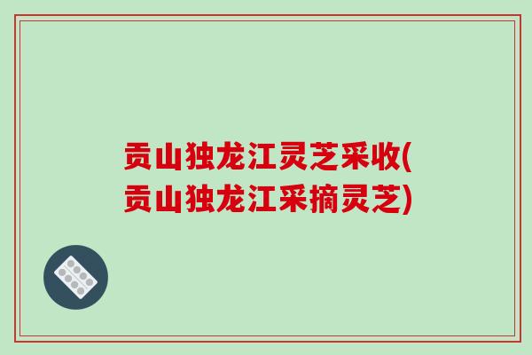 贡山独龙江灵芝采收(贡山独龙江采摘灵芝)-第1张图片-破壁灵芝孢子粉研究指南 贡山独龙江灵芝采收(贡山独龙江采摘灵芝)-第1张图片-破壁灵芝孢子粉研究指南