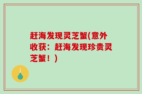 赶海发现灵芝蟹(意外收获:赶海发现珍贵灵芝蟹!)-第1张图片-破壁灵芝孢子粉研究指南 赶海发现灵芝蟹(意外收获:赶海发现珍贵灵芝蟹!)-第1张图片-破壁灵芝孢子粉研究指南