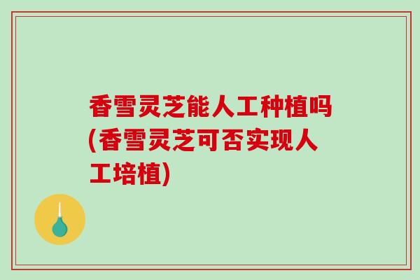 香雪灵芝能人工种植吗(香雪灵芝可否实现人工培植)-第1张图片-破壁灵芝孢子粉研究指南 香雪灵芝能人工种植吗(香雪灵芝可否实现人工培植)-第1张图片-破壁灵芝孢子粉研究指南