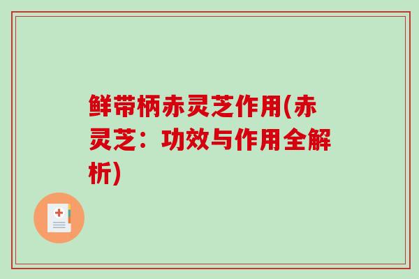 鲜带柄赤灵芝作用(赤灵芝:功效与作用全解析)-第1张图片-破壁灵芝孢子粉研究指南 鲜带柄赤灵芝作用(赤灵芝:功效与作用全解析)-第1张图片-破壁灵芝孢子粉研究指南