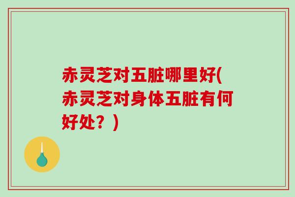 赤灵芝对五脏哪里好(赤灵芝对身体五脏有何好处?)-第1张图片-破壁灵芝孢子粉研究指南 赤灵芝对五脏哪里好(赤灵芝对身体五脏有何好处?)-第1张图片-破壁灵芝孢子粉研究指南