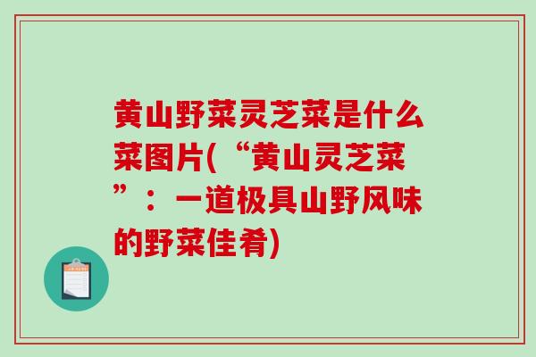 黄山野菜灵芝菜是什么菜图片(“黄山灵芝菜”:一道极具山野风味的野菜佳肴)-第1张图片-破壁灵芝孢子粉研究指南 黄山野菜灵芝菜是什么菜图片(“黄山灵芝菜”:一道极具山野风味的野菜佳肴)-第1张图片-破壁灵芝孢子粉研究指南