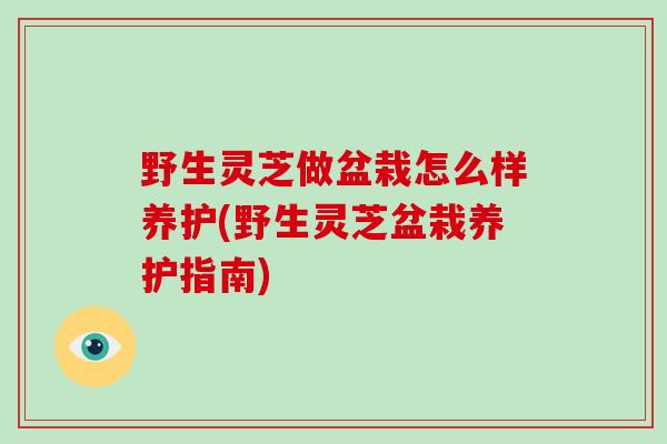 野生灵芝做盆栽怎么样养护(野生灵芝盆栽养护指南)-第1张图片-破壁灵芝孢子粉研究指南 野生灵芝做盆栽怎么样养护(野生灵芝盆栽养护指南)-第1张图片-破壁灵芝孢子粉研究指南