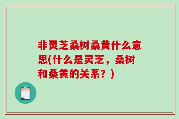 非灵芝桑树桑黄什么意思(什么是灵芝，桑树和桑黄的关系？)-第1张图片-破壁灵芝孢子粉研究指南