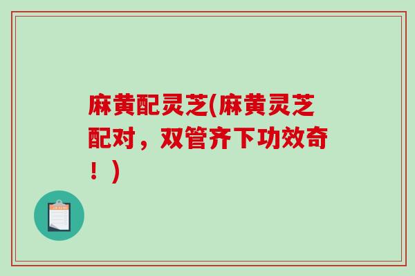 麻黄配灵芝(麻黄灵芝配对,双管齐下功效奇!)-第1张图片-破壁灵芝孢子粉研究指南 麻黄配灵芝(麻黄灵芝配对,双管齐下功效奇!)-第1张图片-破壁灵芝孢子粉研究指南