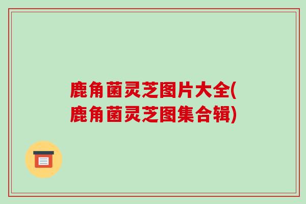 鹿角菌灵芝图片大全(鹿角菌灵芝图集合辑)-第1张图片-破壁灵芝孢子粉研究指南