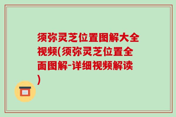 须弥灵芝位置图解大全视频(须弥灵芝位置全面图解-详细视频解读)-第1张图片-破壁灵芝孢子粉研究指南 须弥灵芝位置图解大全视频(须弥灵芝位置全面图解-详细视频解读)-第1张图片-破壁灵芝孢子粉研究指南