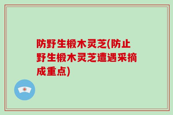 防野生椴木灵芝(防止野生椴木灵芝遭遇采摘成重点)-第1张图片-破壁灵芝孢子粉研究指南 防野生椴木灵芝(防止野生椴木灵芝遭遇采摘成重点)-第1张图片-破壁灵芝孢子粉研究指南