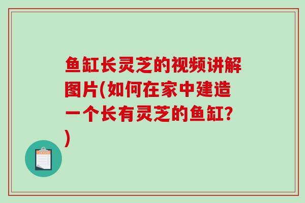 鱼缸长灵芝的视频讲解图片(如何在家中建造一个长有灵芝的鱼缸?)-第1张图片-破壁灵芝孢子粉研究指南 鱼缸长灵芝的视频讲解图片(如何在家中建造一个长有灵芝的鱼缸?)-第1张图片-破壁灵芝孢子粉研究指南
