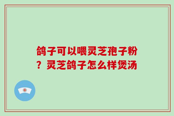 鸽子可以喂灵芝孢子粉?灵芝鸽子怎么样煲汤-第1张图片-破壁灵芝孢子粉研究指南 鸽子可以喂灵芝孢子粉?灵芝鸽子怎么样煲汤-第1张图片-破壁灵芝孢子粉研究指南