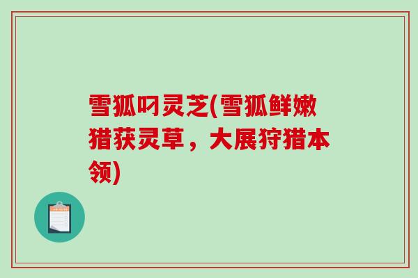 雪狐叼灵芝(雪狐鲜嫩猎获灵草,大展狩猎本领)-第1张图片-破壁灵芝孢子粉研究指南 雪狐叼灵芝(雪狐鲜嫩猎获灵草,大展狩猎本领)-第1张图片-破壁灵芝孢子粉研究指南