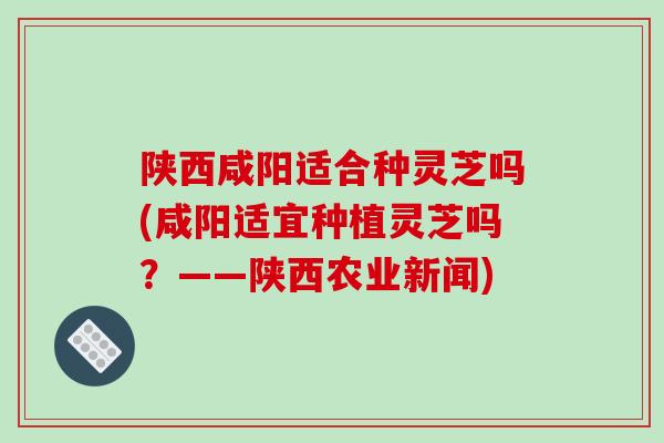 陕西咸阳适合种灵芝吗(咸阳适宜种植灵芝吗？——陕西农业新闻)-第1张图片-破壁灵芝孢子粉研究指南