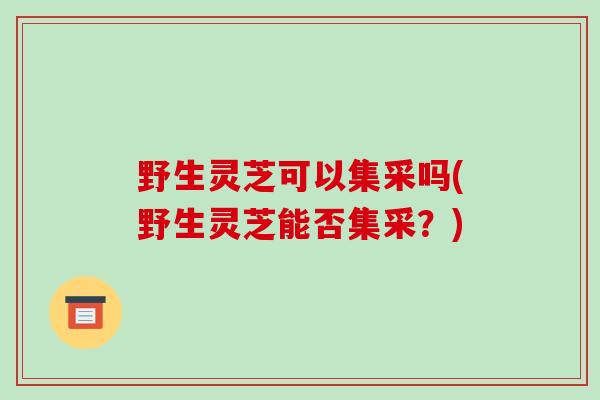 野生灵芝可以集采吗(野生灵芝能否集采?)-第1张图片-破壁灵芝孢子粉研究指南 野生灵芝可以集采吗(野生灵芝能否集采?)-第1张图片-破壁灵芝孢子粉研究指南