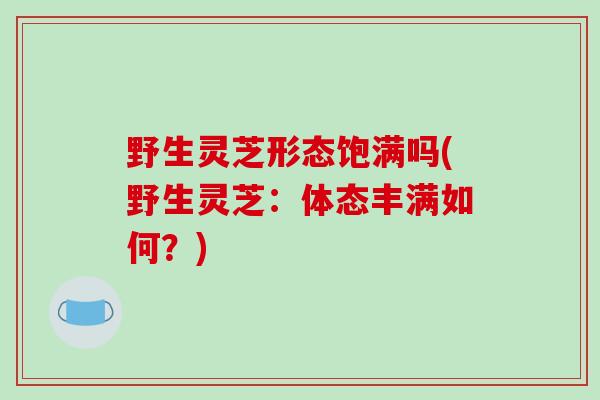 野生灵芝形态饱满吗(野生灵芝:体态丰满如何?)-第1张图片-破壁灵芝孢子粉研究指南 野生灵芝形态饱满吗(野生灵芝:体态丰满如何?)-第1张图片-破壁灵芝孢子粉研究指南