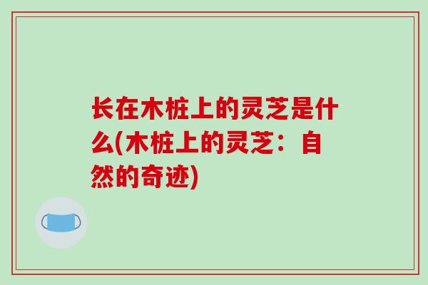长在木桩上的灵芝是什么(木桩上的灵芝:自然的奇迹)-第1张图片-破壁灵芝孢子粉研究指南 长在木桩上的灵芝是什么(木桩上的灵芝:自然的奇迹)-第1张图片-破壁灵芝孢子粉研究指南