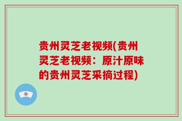 贵州灵芝老视频(贵州灵芝老视频:原汁原味的贵州灵芝采摘过程)-第1张图片-破壁灵芝孢子粉研究指南 贵州灵芝老视频(贵州灵芝老视频:原汁原味的贵州灵芝采摘过程)-第1张图片-破壁灵芝孢子粉研究指南