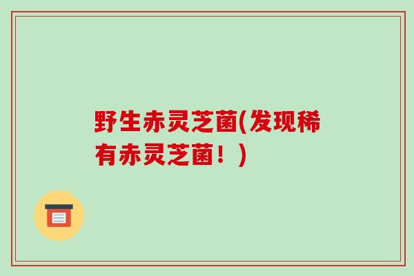 野生赤灵芝菌(发现稀有赤灵芝菌!)-第1张图片-破壁灵芝孢子粉研究指南 野生赤灵芝菌(发现稀有赤灵芝菌!)-第1张图片-破壁灵芝孢子粉研究指南