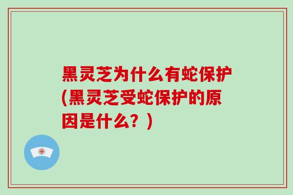 黑灵芝为什么有蛇保护(黑灵芝受蛇保护的原因是什么?)-第1张图片-破壁灵芝孢子粉研究指南 黑灵芝为什么有蛇保护(黑灵芝受蛇保护的原因是什么?)-第1张图片-破壁灵芝孢子粉研究指南
