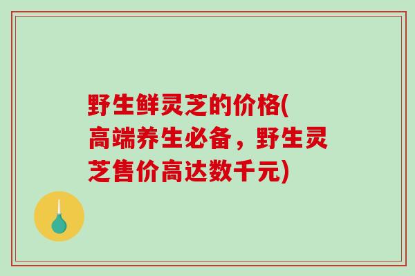 野生鲜灵芝的价格( 高端养生必备,野生灵芝售价高达数千元)-第1张图片-破壁灵芝孢子粉研究指南 野生鲜灵芝的价格( 高端养生必备,野生灵芝售价高达数千元)-第1张图片-破壁灵芝孢子粉研究指南