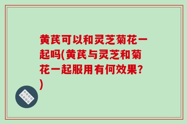 黄芪可以和灵芝菊花一起吗(黄芪与灵芝和菊花一起服用有何效果?)-第1张图片-破壁灵芝孢子粉研究指南 黄芪可以和灵芝菊花一起吗(黄芪与灵芝和菊花一起服用有何效果?)-第1张图片-破壁灵芝孢子粉研究指南