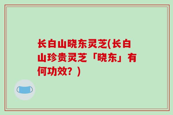 长白山晓东灵芝(长白山珍贵灵芝「晓东」有何功效?)-第1张图片-破壁灵芝孢子粉研究指南 长白山晓东灵芝(长白山珍贵灵芝「晓东」有何功效?)-第1张图片-破壁灵芝孢子粉研究指南