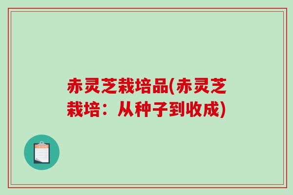 赤灵芝栽培品(赤灵芝栽培:从种子到收成)-第1张图片-破壁灵芝孢子粉研究指南 赤灵芝栽培品(赤灵芝栽培:从种子到收成)-第1张图片-破壁灵芝孢子粉研究指南