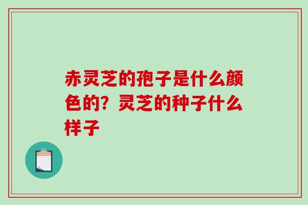 赤灵芝的孢子是什么颜色的？灵芝的种子什么样子-第1张图片-破壁灵芝孢子粉研究指南